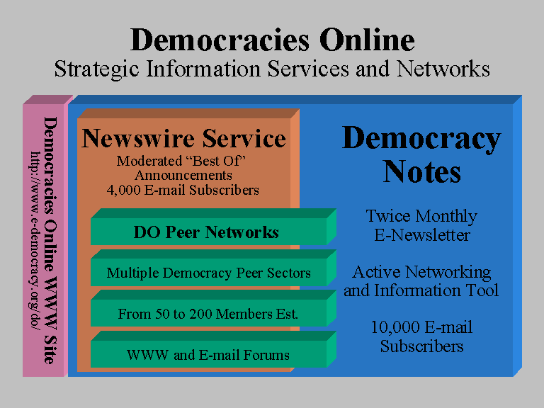 Democracies Online Information Strategy Model